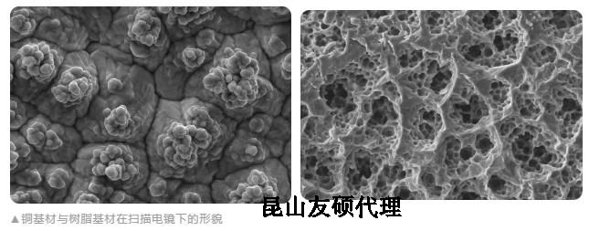 山南蔡司山南扫描电镜