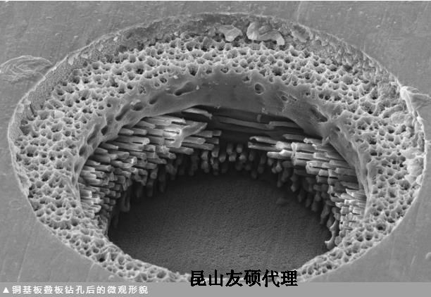 山南蔡司山南扫描电镜